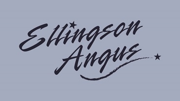Ellingson
