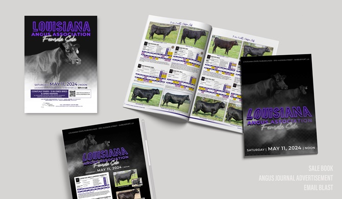 Louisiana Angus Integrated Marketing Materials Designed by Angus Media