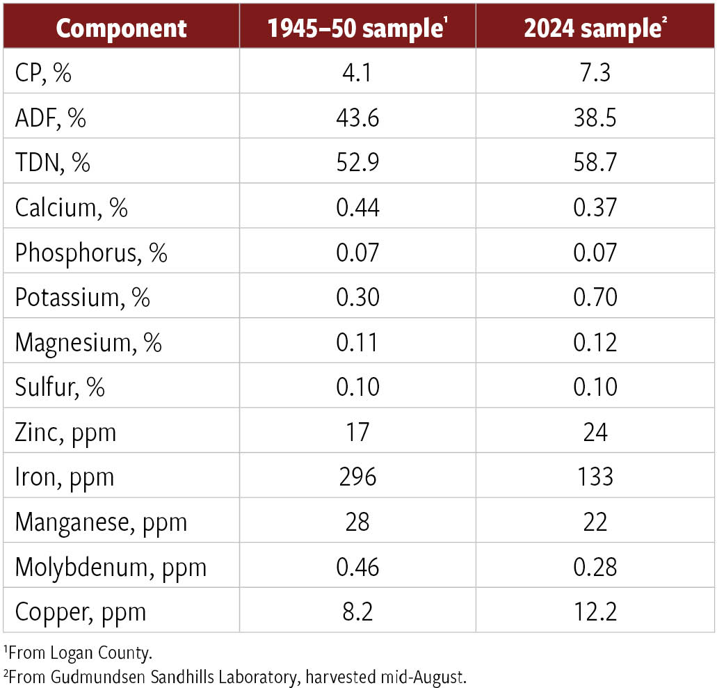 Fig. 2: Comparison of forage quality and mineral concentrations between an extremely old upland Sandhills hay sample (baled 1945–1950) and a contemporary 2024 sample Results illustrate mineral concentrations can persist under dry storage, while organic forage quality measures are more sensitive to degradation over time.