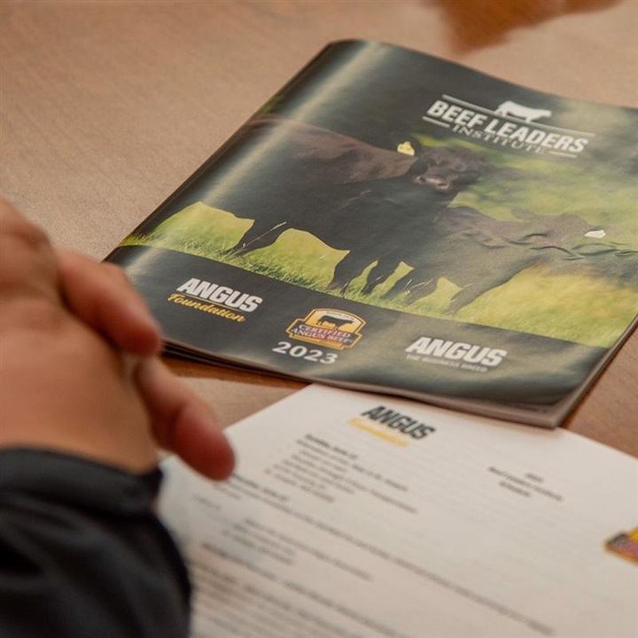 An individual with their hands folded while reading materials from the Beef Leaders Institute.