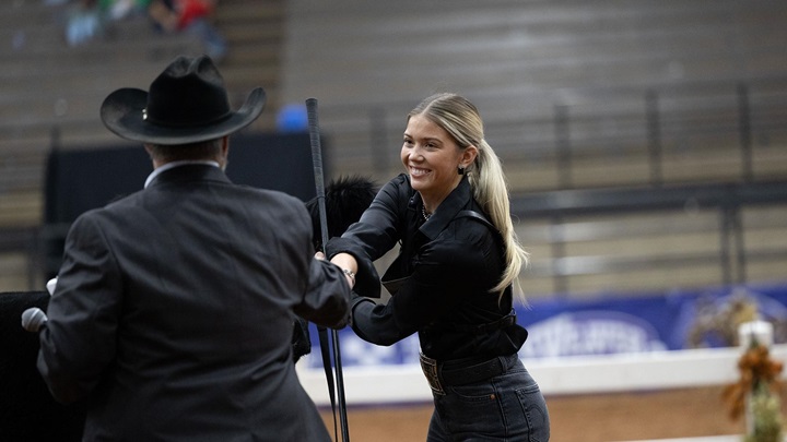 A young female showman shakes hands with the judge in the exhibitor ring.