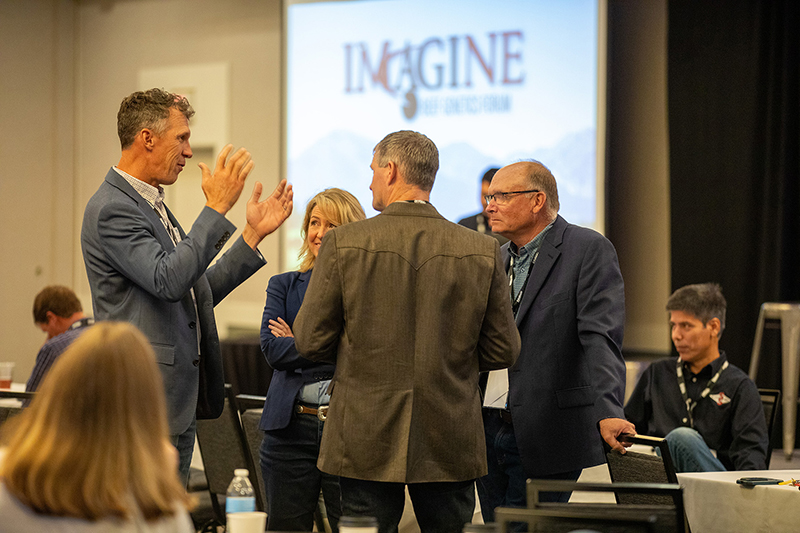 Imagine -- Kansas City