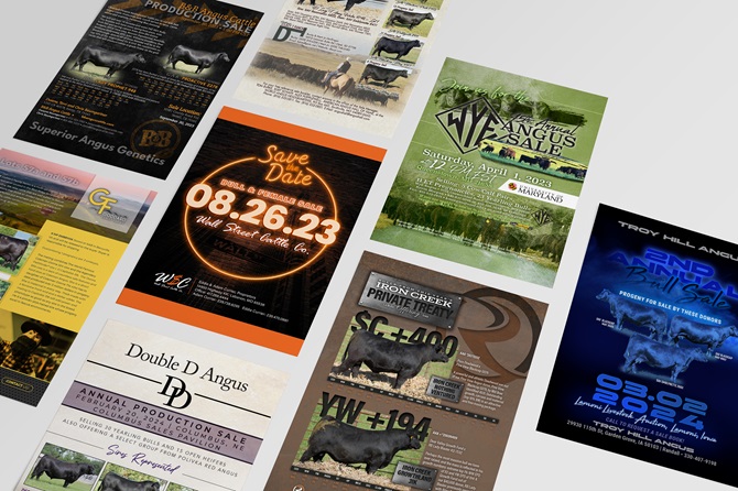 Many ads designed by Angus Media