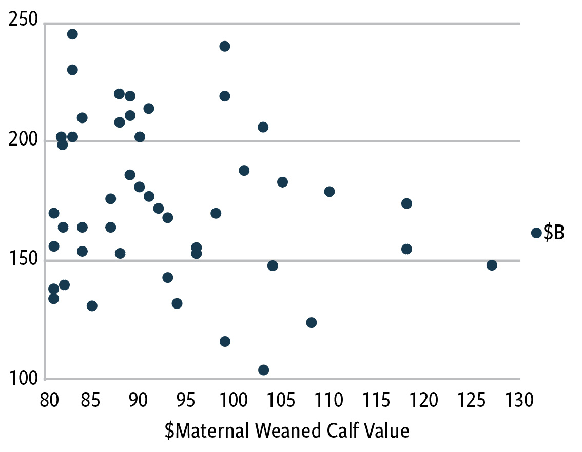 Fig. 2: Top 200 bulls ranking in top 10% of current sires for maternal weaned calf value ($M) by beef value ($B)