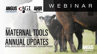 EPDs, $Values, and Economic Assumptions - New Maternal Tools and Annual Updates 2025