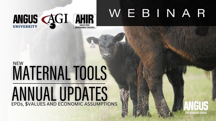 EPDs, $Values, and Economic Assumptions - New Maternal Tools and Annual Updates 2025