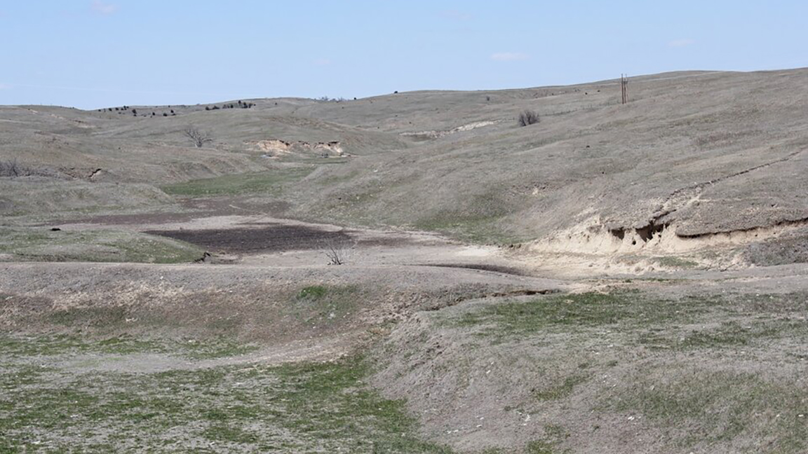 Drought [Photo by Troy Walz.]
