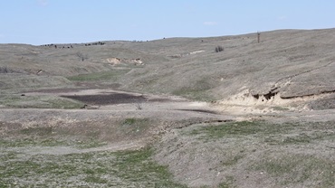 Drought [Photo by Troy Walz.]