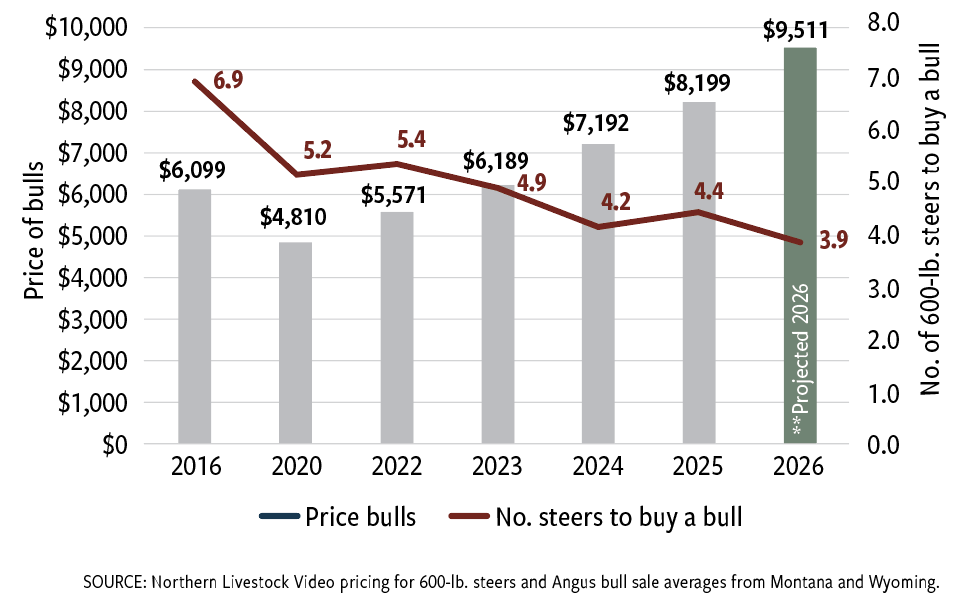 Fig. 1: Bull investment over time: price trends and steer-based valuation No. of 600-lb. steers required to buy a bull, 2016-2025