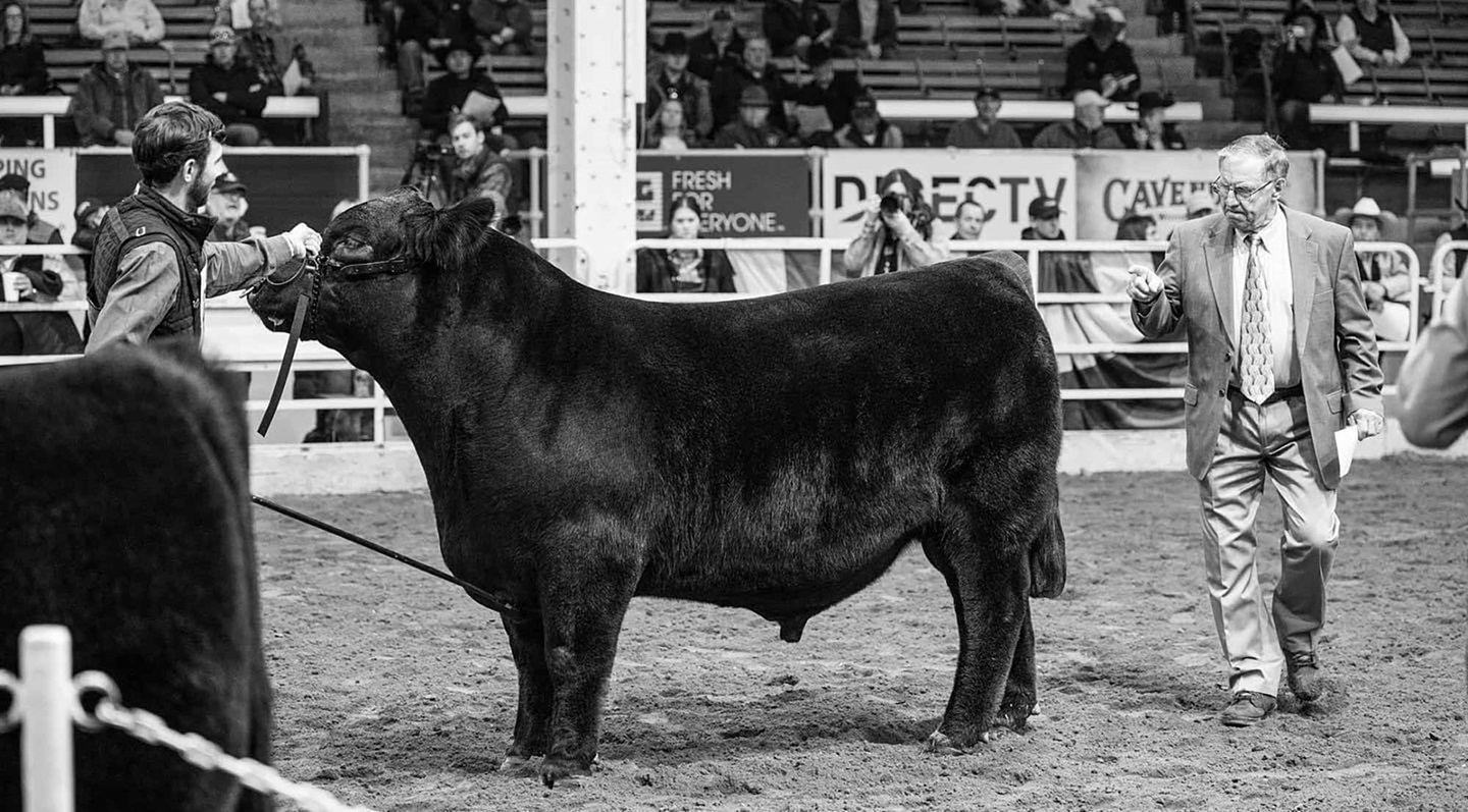 Cole Atkinson in the ring