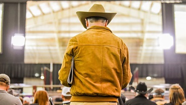 Person at cattle auction