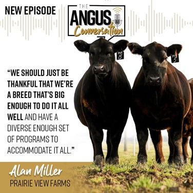 The Angus Conversation