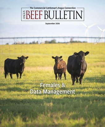 ABB Sept cover
