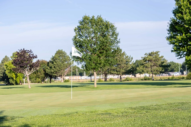 Green golf course.