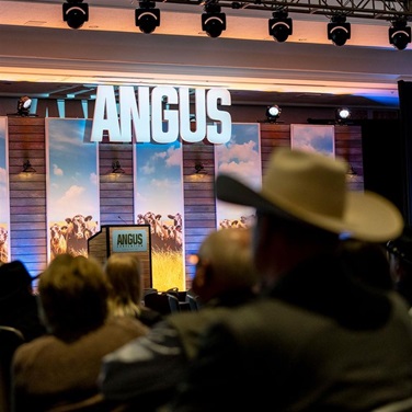 A gentlemen in a cowboy hat looks onward towards the Angus Convention stage.