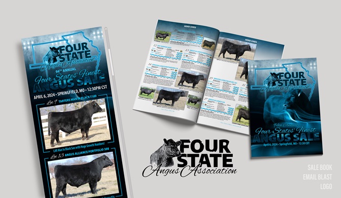 Four State Integrated Marketing Materials Designed by Angus Media