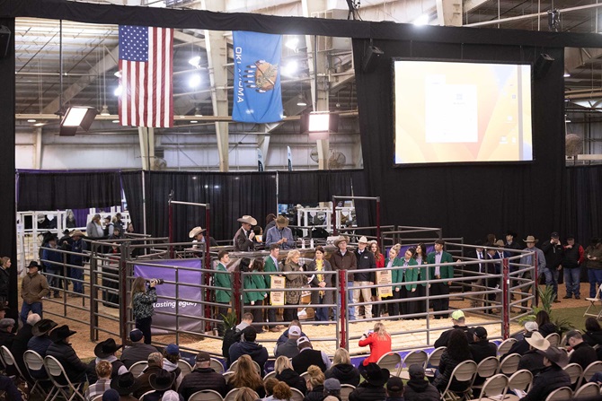 2024 Angus Foundation Heifer Package