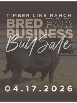 Timber Line Ranch