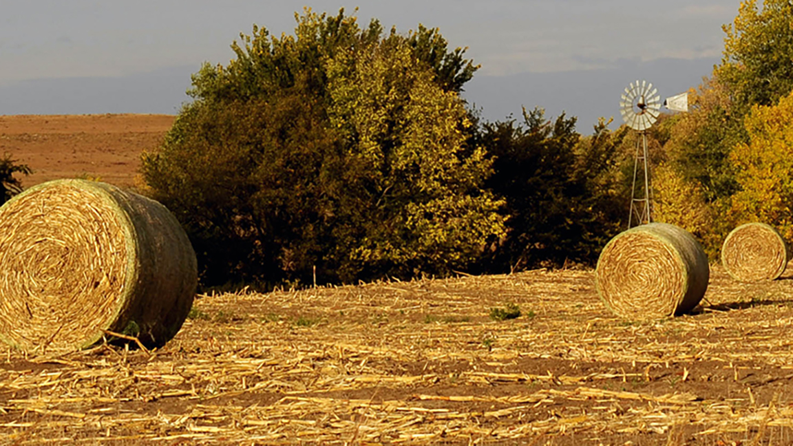 hay bales