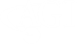 AGI White Logo