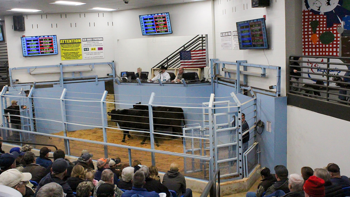 Customers who consistently put the most dollars in their pocket are customers who have invested in quality genetics, says Jim Akers.