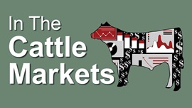 In the cattle markets