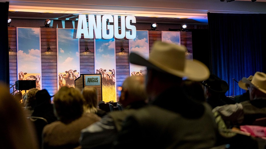 A gentlemen in a cowboy hat looks onward towards the Angus Convention stage.