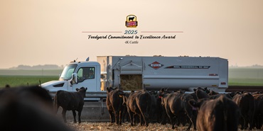feed truck and cattle