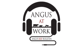 Angus At Work logo