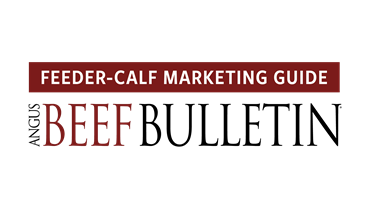 Feeder-Calf Marketing Guide Logo