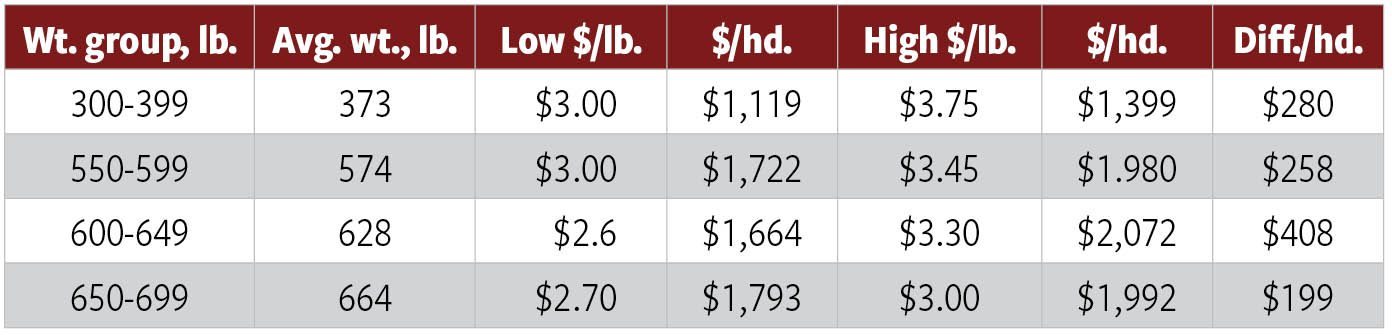 Table 1: West Branch Feeder-calf Sale, October 2024