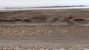 afternath of dust storm