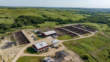 The KSU Beef Stocker Unit, currently grazing over 500 head of Angus-Holstein cross calves, serves research and extension needs for students and producers.