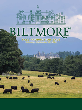 Bitmore Sale Book