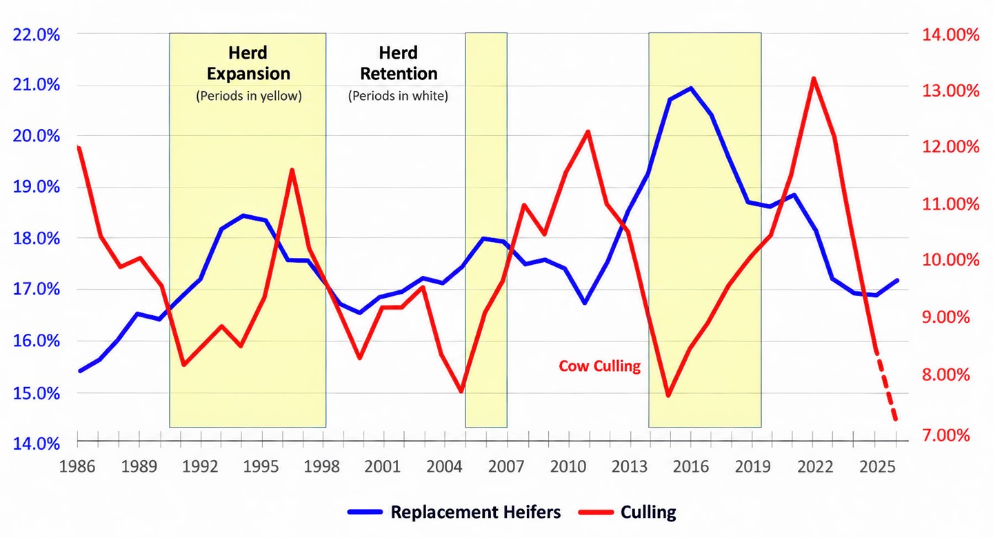 Fig. 1: Heifer Retention and cow culling, as % of Jan. 1 beef cow inventory