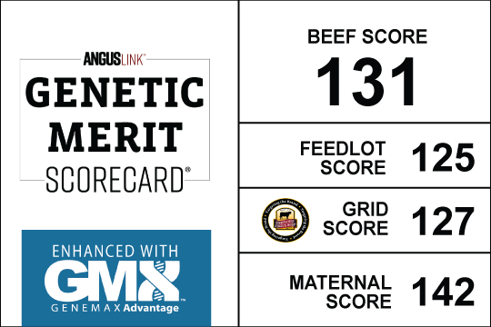 GeneMax-enhanced-Scorecard_withscoresai