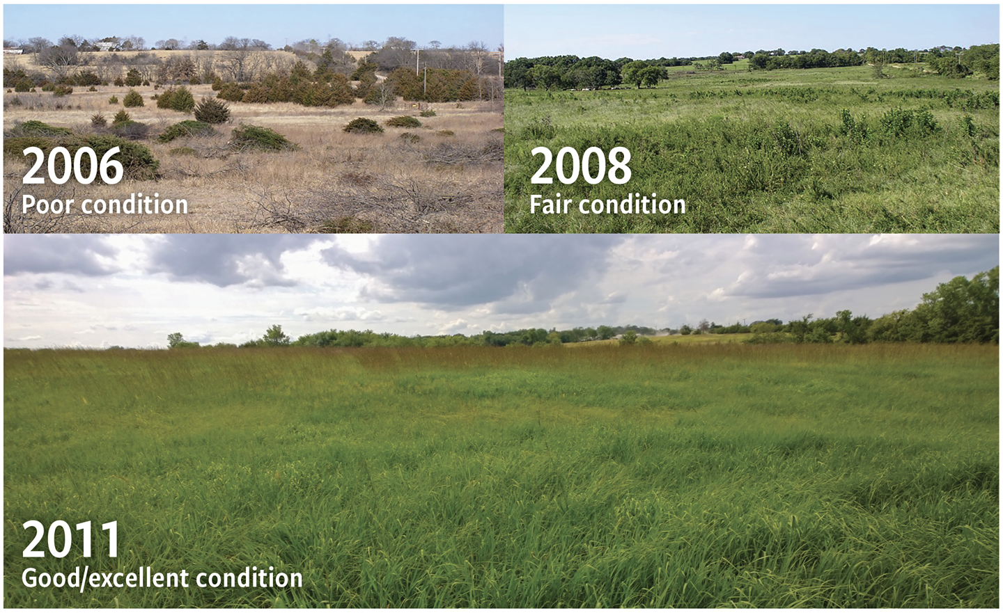 Fig. 1: Transformation of native range with regenerative management