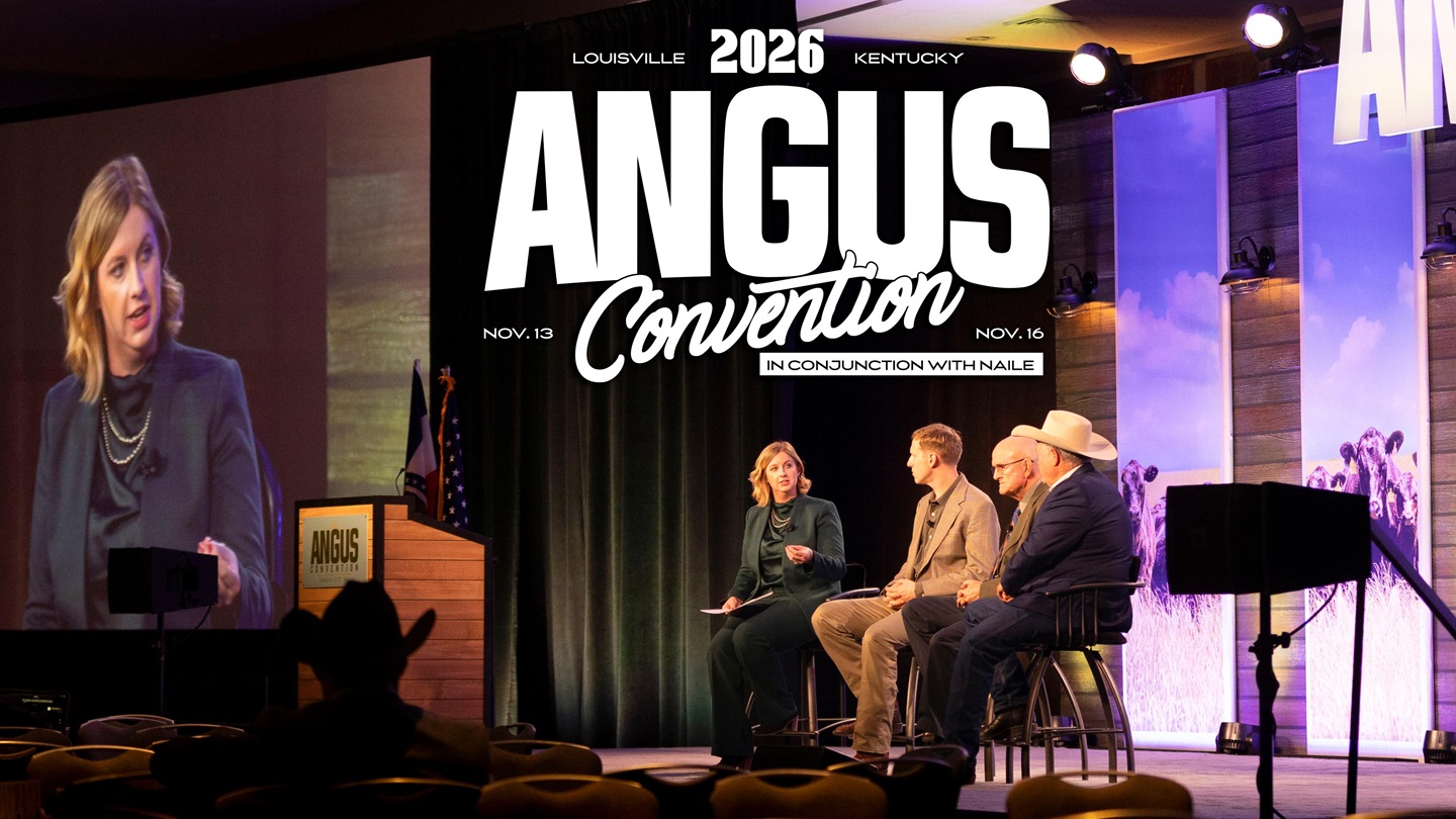 Angus Convention