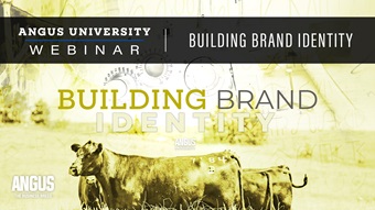 Building brand identity webinar thumbnail