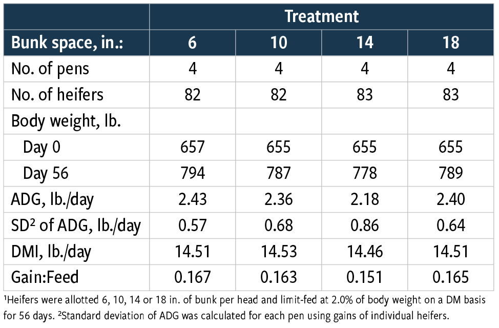 Table 2: Effect of bunk space allotment on growth performance of limit-fed growing heifers¹