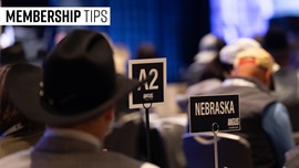 Member tips