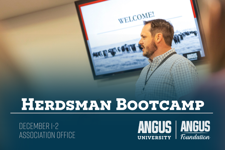 The Herdsman Bootcamp is brought to you by Angus University and the Angus Foundation.