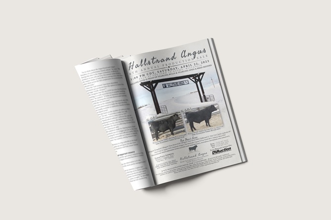 Hallstand Ad designed by Angus Media