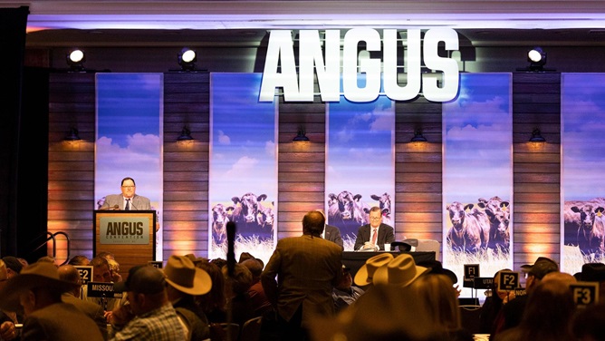 Past Board of Directors President, Jonathan Perry, addresses the members and attendees at the 2025 Angus Convention.