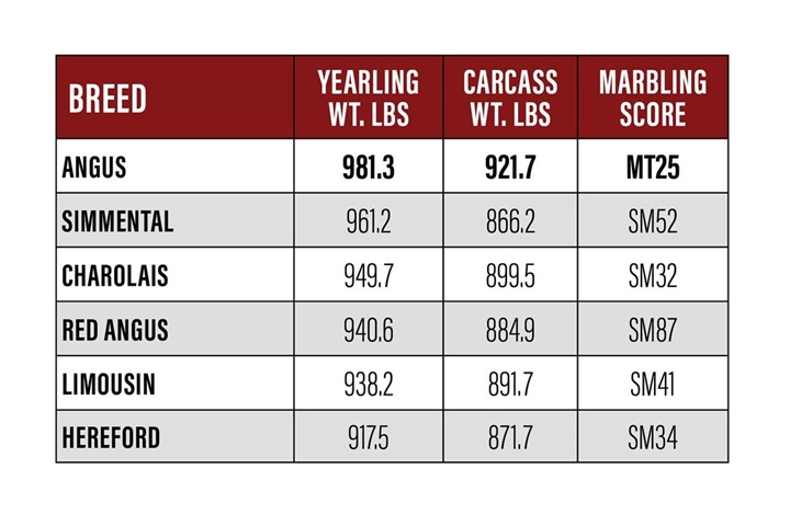 Breed comparison chart for Angus on dairy.