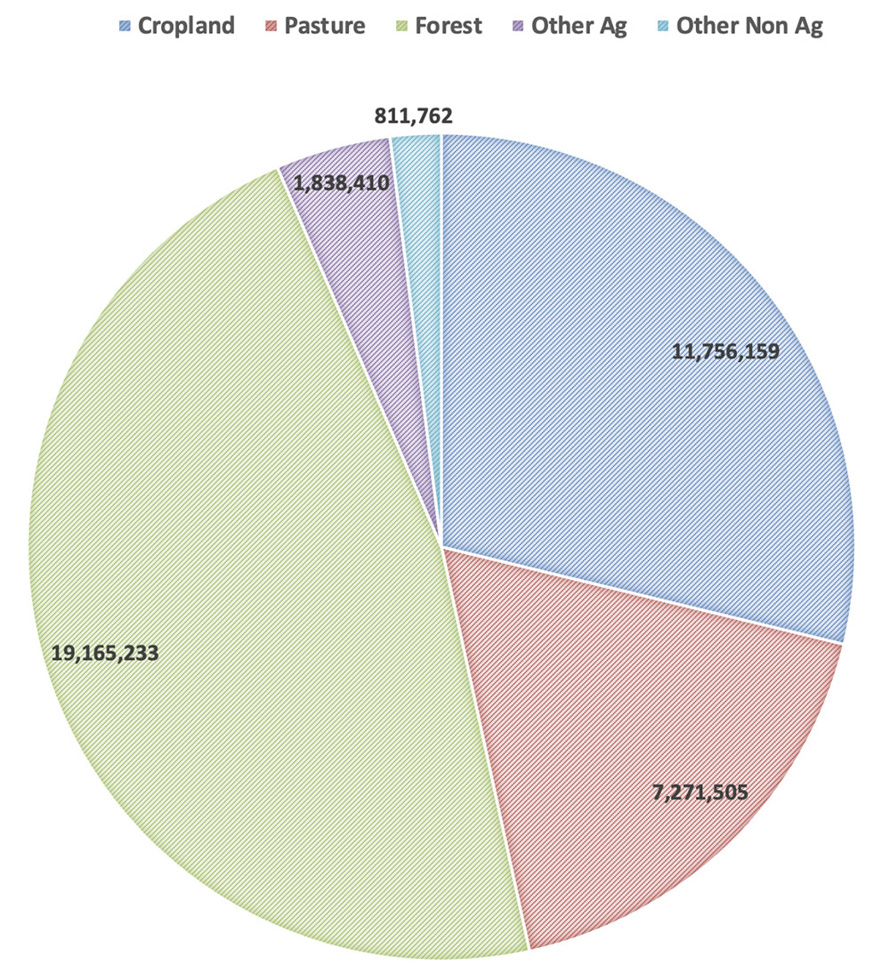 Pie graph