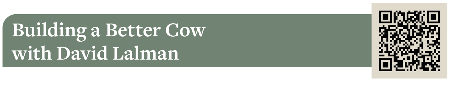 Building a Better Cow with David Lalman