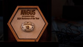 Angus Herdsman of the Year award buckle