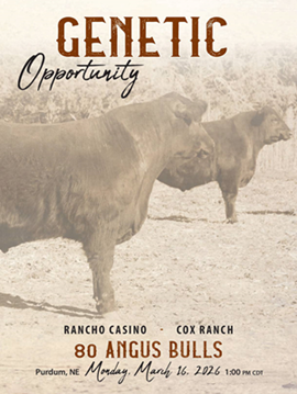 Rancho Casino/Cox Ranch Sale Book Cover