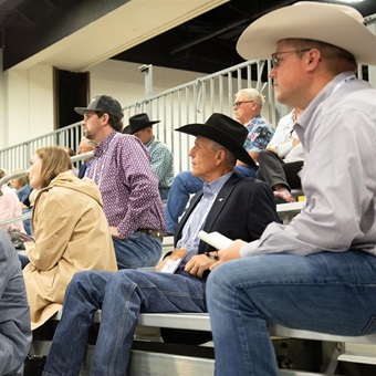 Angus Convention attendees listening to a presenter at a Learning Lounge session.